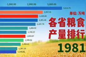 1949-2019各省粮食产量排行榜，哪些省份养活了全国