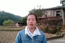 怎么辨别是老母鸡和土鸡，以后就不用担心视频封面