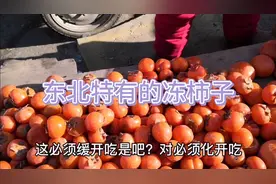 鹤岗零下十几度，曾经热闹的露天小市场，还有卖蔬菜水果的吗？