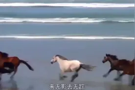 世界上跑得最快的三种马，日行千里，夜行八百，时速可超越汽车。