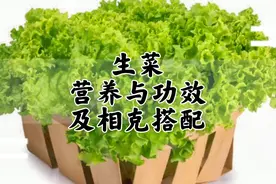 生菜 营养与功效 及相克搭配 吃出健康#健康饮食#食物简介视频封面
