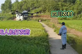 四川农村无人机打农药，一套装备5万块5分钟一亩，你见过吗？视频封面