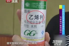 一包药粉青香蕉变黄香蕉！药粉催熟有毒吗？乙烯利到底是什么