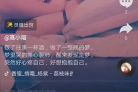 梦里梦外一场空视频封面