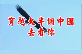 崔伟立新专辑《穿越大半个中国去看你》上线了，快来抢先听！