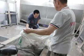 浙江家具厂实拍工人的艰辛，200一天6000一月一天9小时。视频封面