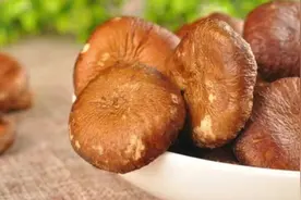 干香菇和鲜香菇，选哪个好？营养价值差别有多大？视频封面