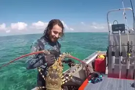 世界上最大的波士顿龙虾，体长1米，重大60斤，被小哥抓到了视频封面