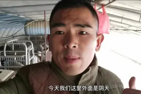 断奶30多天小猪！肠子掉出来如何愈合，方法很简单
