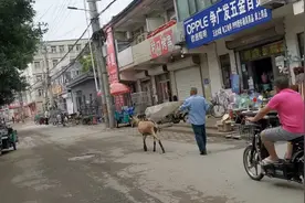 北京市昌平区百善镇一个村，租房便宜每月6—9百，设施俱全。视频封面