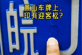 黄山车牌上印有迎客松？小午未街头实拍后发现，竟还有意外收获视频封面