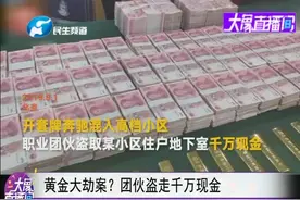 地下室千万现金被盗，还有16根金条，警方90小时破案视频封面