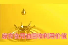 废弃食用油带来巨大商机，有人靠它年入百万，如何操作？详细解说视频封面