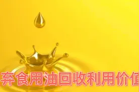 废弃食用油带来巨大商机，有人靠它年入百万，如何操作？详细解说视频封面
