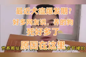 最近犬瘟爆发期，养狗听下，对你们帮助好大，原因错在那里？听下视频封面