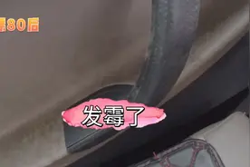 半个月没开的车发霉了怎么回事用酒精湿巾消毒一下有用吗？