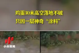 鸡蛋30米高空落地不破 只因一层神奇“涂料”视频封面