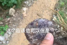 接上个视频你们要的后续爬山有个意外收获 这里是铲玉的地方吗？视频封面
