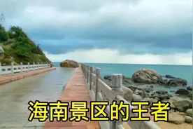 海南三亚，这里有数千年的濒危植物，龙血树视频封面