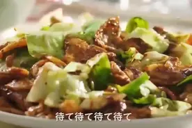 日本广告中的中华美食，太诱人了，好想吃！！！[舔屏]视频封面
