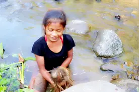 小女孩山坑河里挖野芋，切块炸到香喷喷，都不等馋嘴阿姨来就开吃