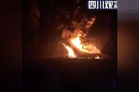 现场视频 成都人民公园盆景园发生火灾 无人员伤亡