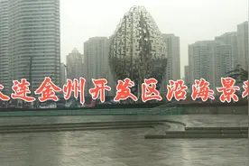 改革开放后大连第一个开发区视频封面