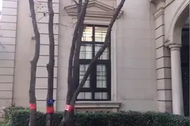 永清孔雀城，价值洼地，永清地铁站2023年开通，到北京西站15分钟视频封面