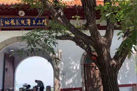 今天去邹平雕窝峪生态园游玩，竟然这里还是隋末王薄起义遗址！视频封面