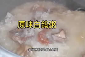 原味白鸽粥这样煲，比外面卖的好吃，调味只放盐，原汁原味好营养视频封面