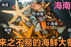 90后东北夫妻自驾环游中国 在海南自己动手丰衣足食 海鲜大餐真香视频封面