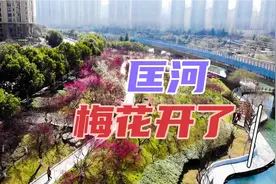 正月初二，合肥匡河边梅花开了视频封面