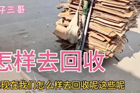 废品回收纸箱的基本分类和回收的价格有什么区别视频封面