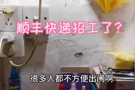 广东佛山顺丰快递招工了，工资4K~上不封顶，心动了没有？视频封面