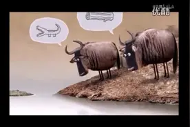 那是木头还是鳄鱼？最新东北话配音来了