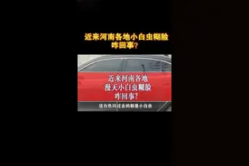 河南各地小白虫漫天飞，一条朋友圈信息被疯转，真相来了！