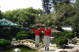 陈金香广场舞《笑纳》原创古典舞当红歌曲别有一番风味