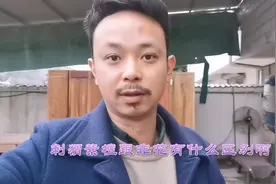 粉丝经常会问刺猬紫檀跟非花区别，今天来跟大家一起学习分享知识视频封面