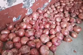 洋葱吃不完，给大家分享一个保存洋葱的小方法视频封面