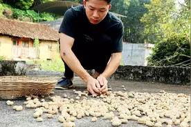 花生用盐水煮真好吃，制作方法简单易学，工作里可以拿来当零食吃