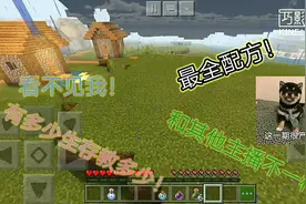 赤之炽焰:我的世界全套药水教程！