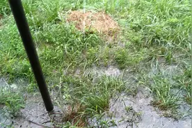 德州终于下雨了视频封面