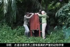 珍妮.古道尔，人教版高中英语必修段中提及的伟大女性之一视频封面