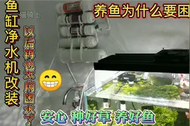 养鱼种草为什么要困水？鱼缸养鱼净水机改装，以后再也不用困水了