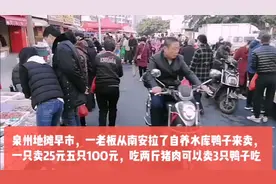 泉州早市一老板卖自养水库鸭子，一只卖25元100元钱能买到5只鸭子视频封面
