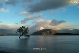 Z11是努比亚最经典的一款手机视频封面