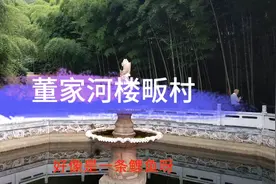 信阳又多了一个旅游休闲景点，浉河区董家河楼畈村，你来过了吗？视频封面