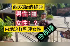 西双版纳令人尴尬的语言差异，称呼女性像骂人，在内地准挨打视频封面