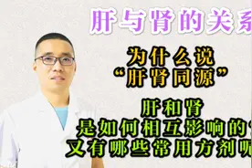 肝肾之间存在密切关系，相互相互影响，相互滋生，五行相生！视频封面