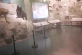 震撼探索几亿年前的侏罗纪，寒武纪，二叠纪，三叠纪，新中生代。